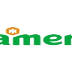 PT Amer Technology Indonesia