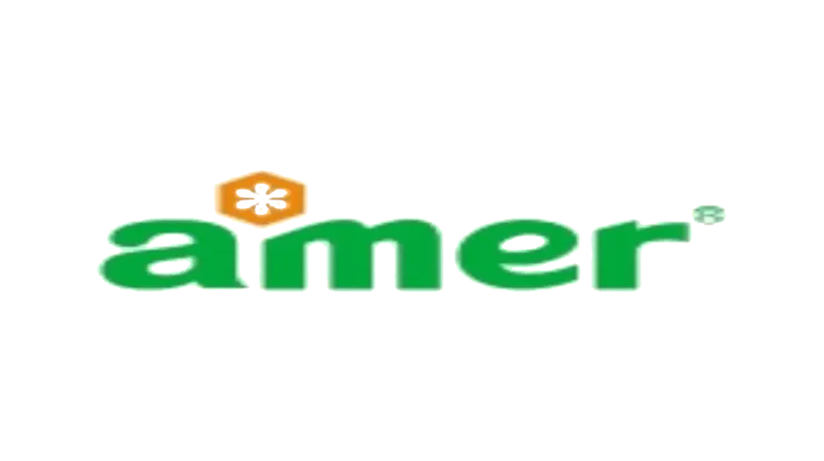 PT Amer Technology Indonesia