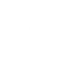 PT Megaspeed International Indonesia