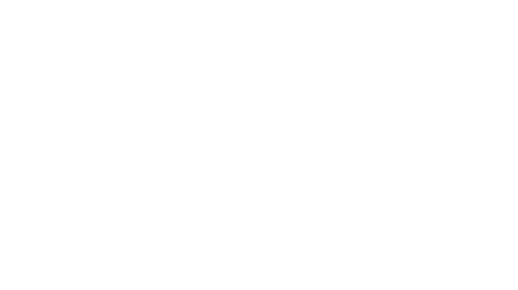PT Megaspeed International Indonesia