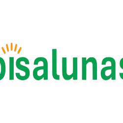 Bisalunas